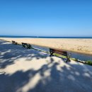 평해사구습지 이미지