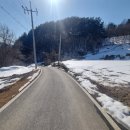 웰리힐리파크 관광단지 이미지