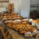 소망베이커리 | 망원동 소금빵 맛집 | 코토베이커리 내돈내산 후기