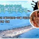 대하체육관 Daum카페