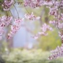 팔팔힘찬한의원 이미지