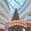 타임스케어 이미지