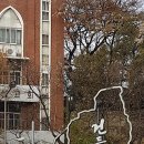 대구도시철도3호선 건들바위역 이미지