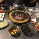 신마포갈매기영종