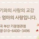아이통곡 네이버블로그