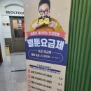 벌툰포항 이미지