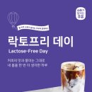 폴바셋 이미지