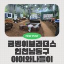 비브라더스 | [소소한육아] 인천 남동구 굼벵이 브라더스 내돈내산 방문 후기