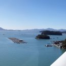 고금면-7 이미지