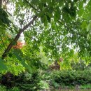 북스테이 노란 이미지