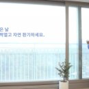 파파시스템 이미지