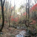 새방골산방 이미지