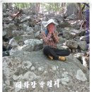탑골목장 Daum카페
