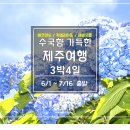 제주도수국여행 특특특가{6/1~7/16) 이미지