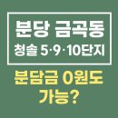 정자동 청솔마을634동 | 🔍분당 금곡동 청솔 5·9·10단지 임장 후기