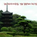누리루리 이미지