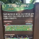 슈퍼스타 | 대구 5월 무료 장미 명소, 서구 그린웨이 (1만 5천그루 만개, 이현공원)