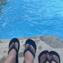 건국농원 이미지