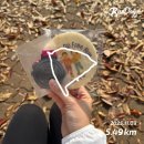 프리런 | 2025 고프리런 5km 인생 첫 마라톤 후기 (+기념품)