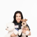 속초애견미용학원