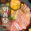 홍대횟집 | 홍대횟집 회품달 홍대본점 후기 - 숙성회 꽃게탕