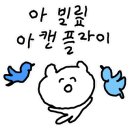 어반스테이속초등대해변 이미지