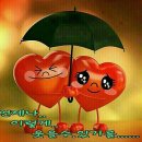 주란 이미지