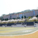 동일미래과학고등학교 이미지
