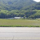 남해-217 이미지