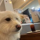 구의온누리약국 이미지