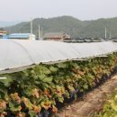 성원농산 이미지
