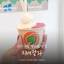 지베젤라 이미지