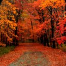 서울와이즈요양병원 이미지