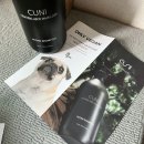 CUNI 쿠니 비건샴푸 탈모샴푸 두피샴푸 임산부샴푸 사용 2주차 솔직후기