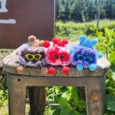 동광영농조합법인 이미지