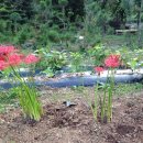 솔샘농장 이미지