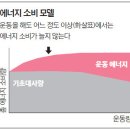 [김은기의 바이오토크] 인체의 에너지 자물쇠 전략 이미지