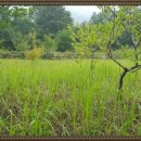 산청공인중개사사무소 이미지