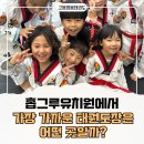 홉그루유치원 이미지