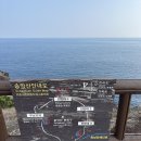 도구리알 이미지