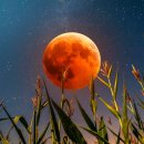 수원시원한의원 이미지