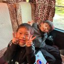 심곡 태권도장 | &lt;서구&gt; 심곡태권도장 내돈내산 2년후기 태권도장 추천 심곡동 연희동 청라동 태권도