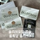 올리브2 | 올리브오일 캡슐 올록담 올리브3 추천 2개월 후기