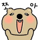 랩올 이미지