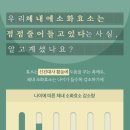 내모메는 이미지