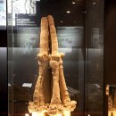 지질박물관 이미지