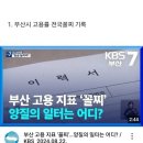 최근 영 좋지 못한 부산광역시 상황 이미지