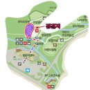 가을 숲으로 놀러가자 이미지