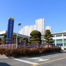 육