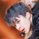 지민81 이미지